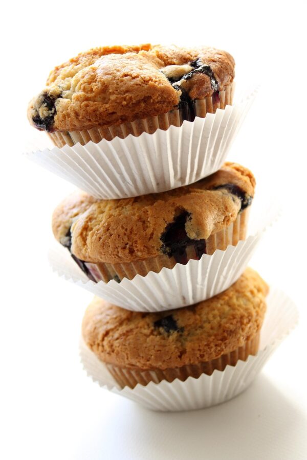 Blueberry Recipes Bundle - Image 5