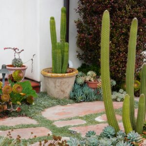 HOME & GARDEN -EDS