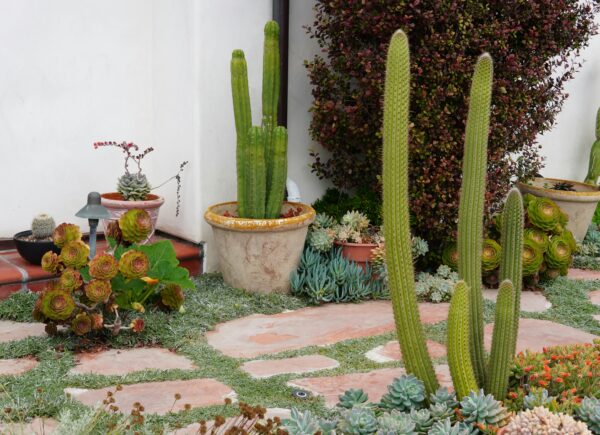 HOME & GARDEN -EDS