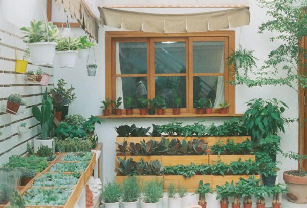 Home & Garden eBook Bundle - Image 2