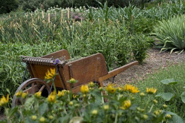 Home & Garden eBook Bundle - Image 4