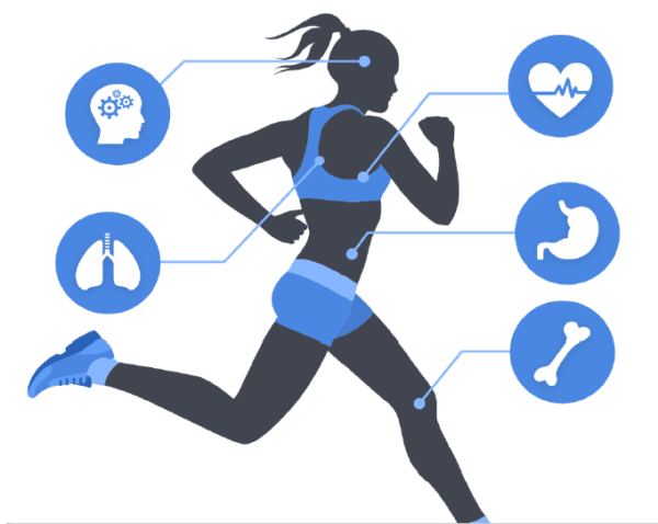 Health & Fitness Mega Bundle - Image 4