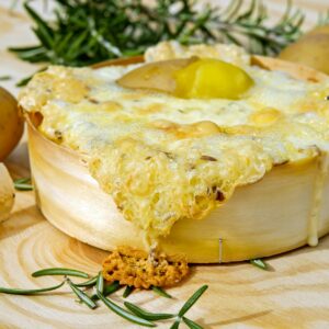cheese recipe collection: creamy, savory & gourmet cheese dishes